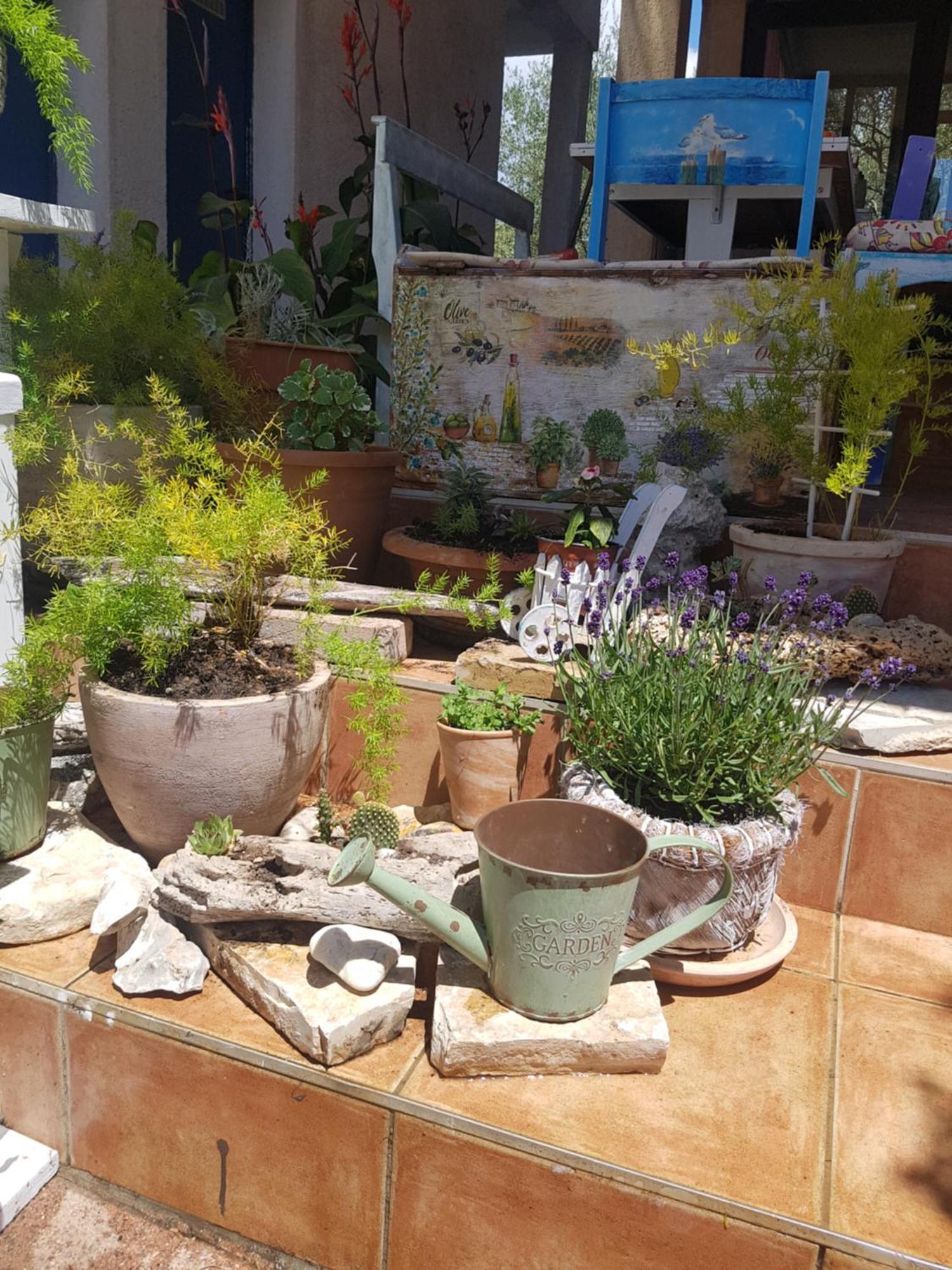 ביבינייה Villa Ivan מראה חיצוני תמונה